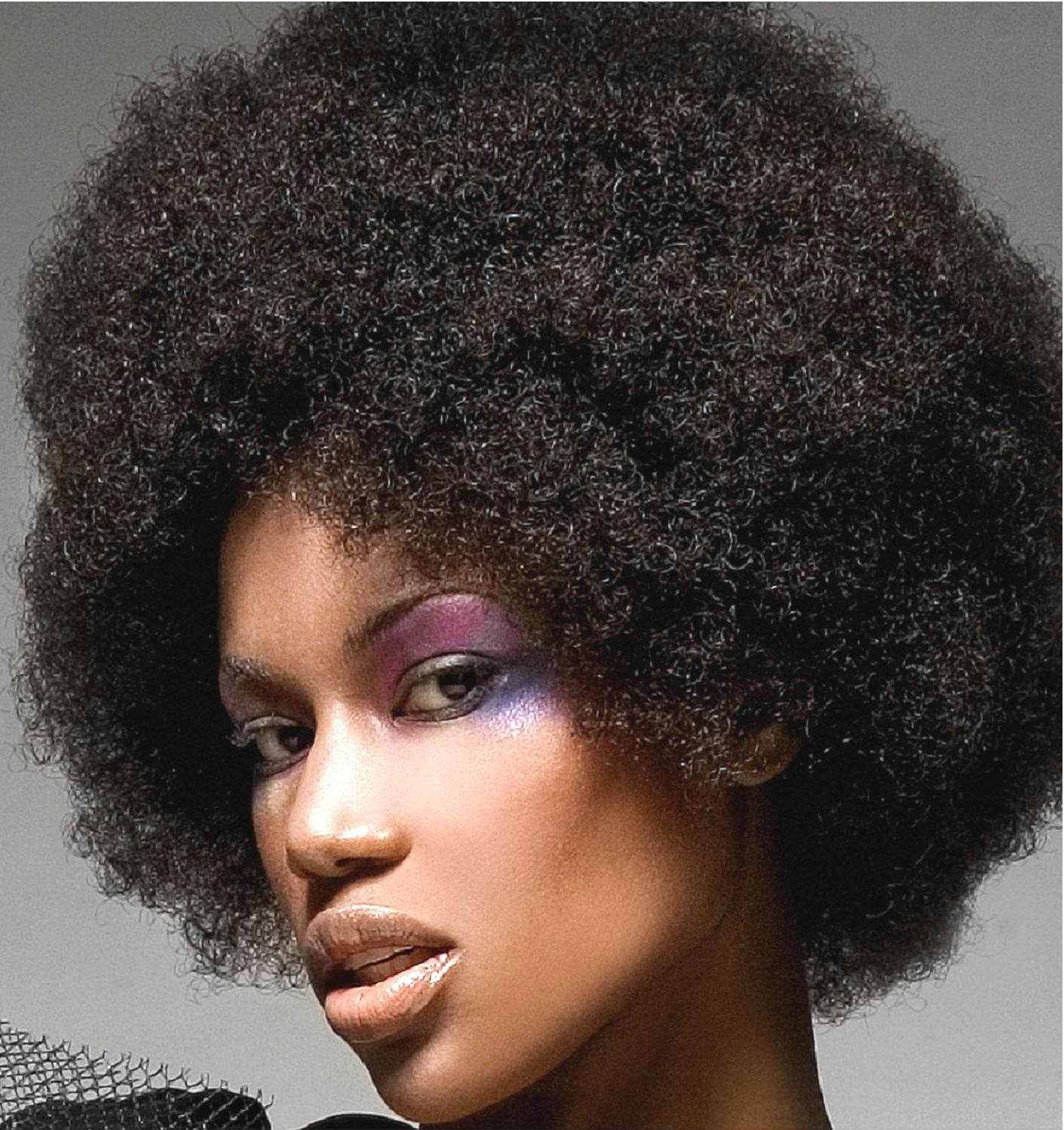 Natural Hairstyles For African American
 African American hairstyles for women 2013