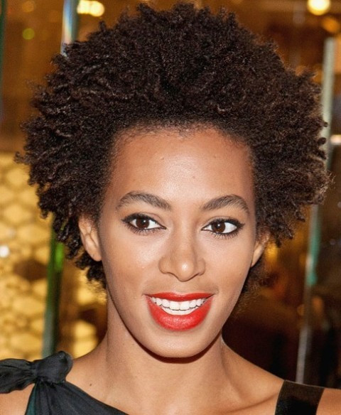Natural Hairstyles For African American
 African American Natural Short Hairstyles – CircleTrest