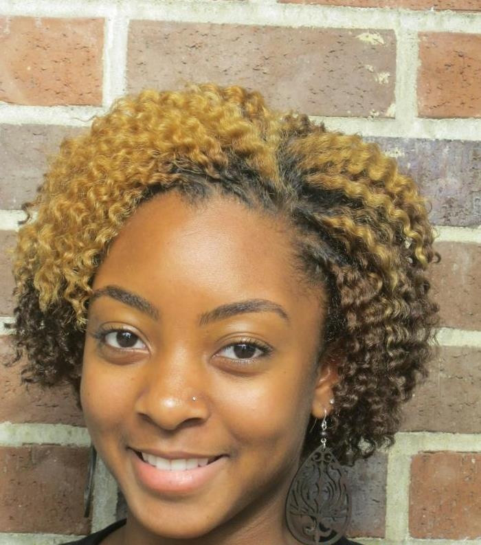 Natural Hairstyles For Fine Hair
 Flat Twist Short Fine Hair African American Hairstyle