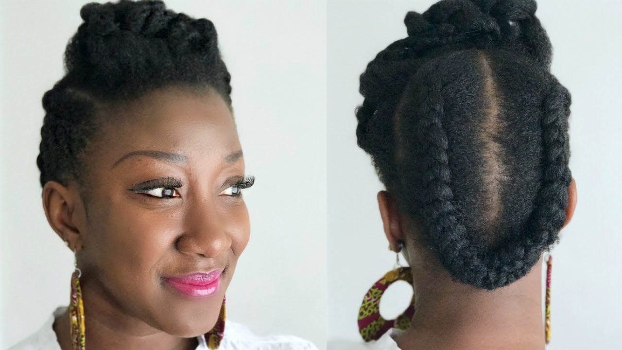 Natural Hairstyles For Fine Hair
 Quick & Easy Natural Hair Style Twisted Braid Updo