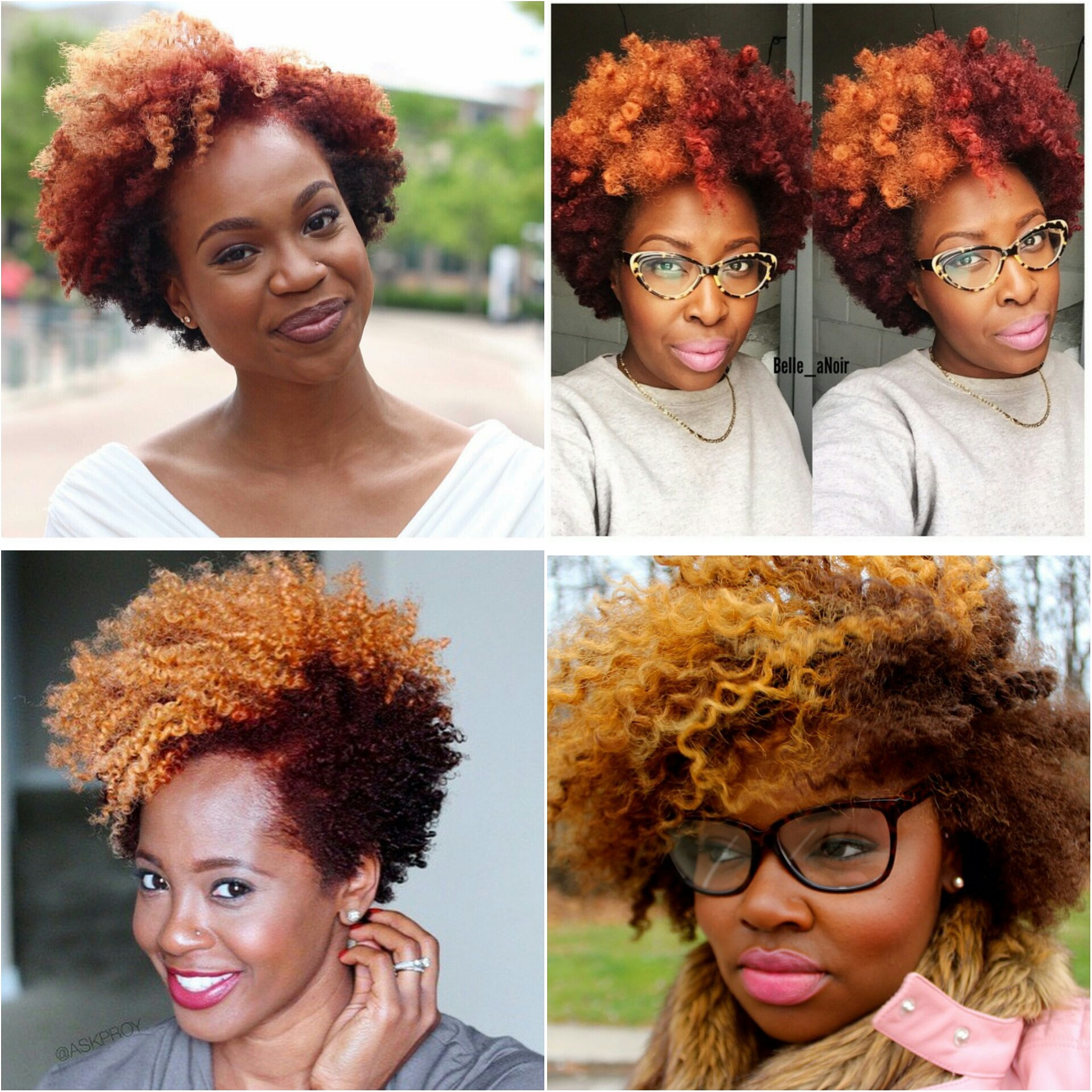 Natural Hairstyles With Color
 Natural Hair Color Inspo The Red Blonde bo ToBNatural