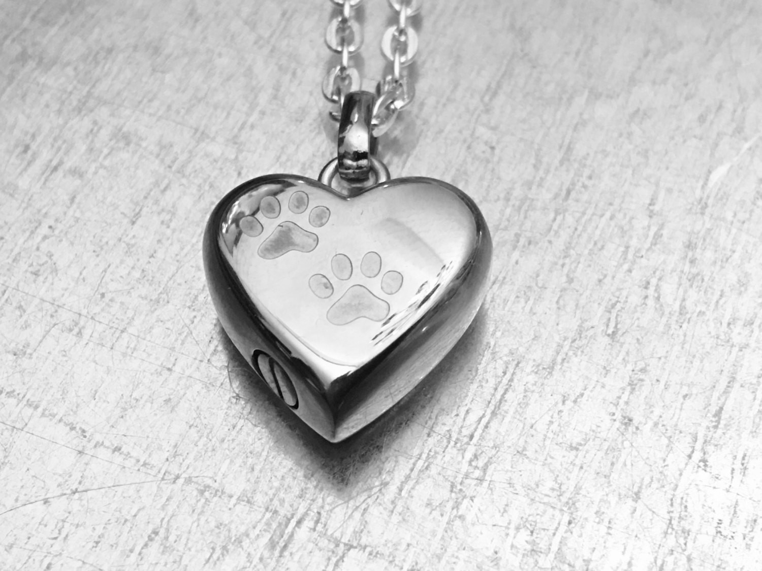 Necklace For Dog Ashes
 Cremation Necklace Pet Urn Urn Locket Ashes Holder