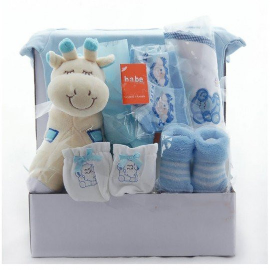 New Baby Gifts Delivered
 Giraffe Baby Gift Basket For Boys Newborn Baby Gifts