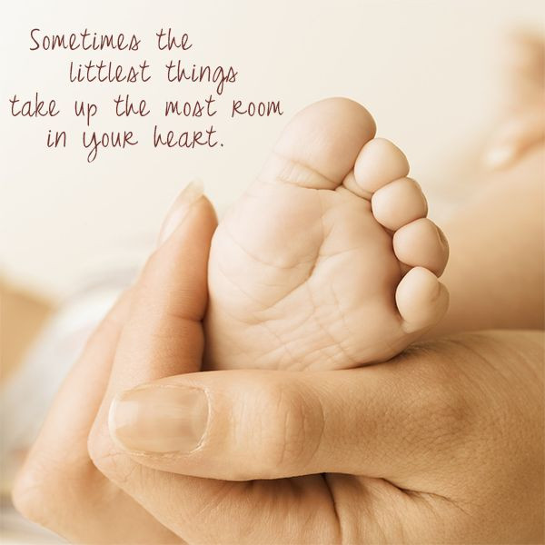 New Baby In The Family Quotes
 little things great job quote baby quote