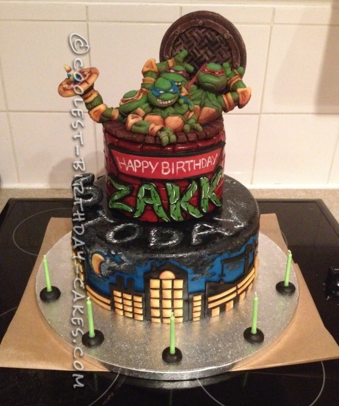 Ninja Turtles Birthday Cake
 Amazing Teenage Mutant Ninja Turtles Birthday Cake