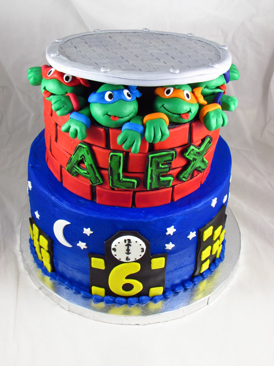 Ninja Turtles Birthday Cake
 Teenage Mutant Ninja Turtles Birthday Cake CakeCentral