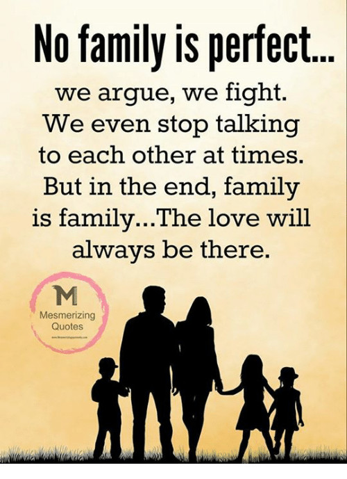 No Family Quotes
 No Family Is Perfect We Argue We Fight We Even Stop