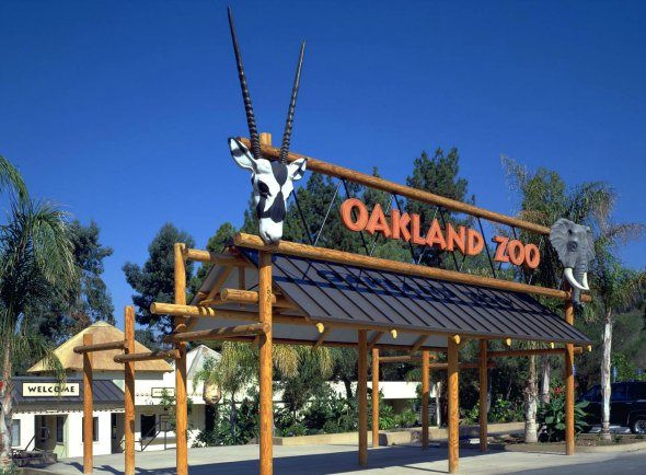 Oakland Zoo Birthday Party
 East Bay indoor birthday party places 510 Families