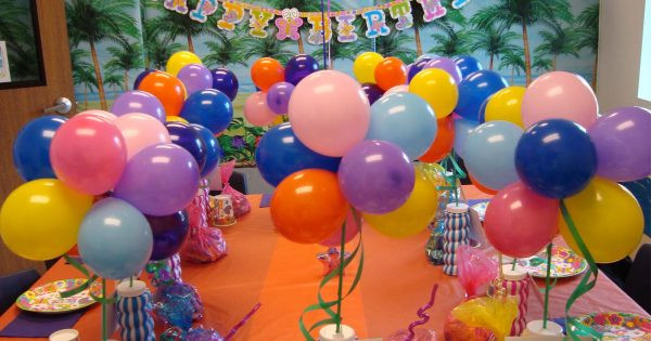 Oakland Zoo Birthday Party
 Paradise Park Novi Birthday Party Packages