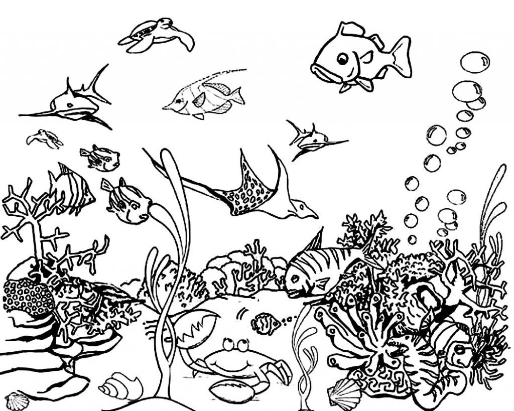 Ocean Coloring Pages For Kids
 Free Printable Ocean Coloring Pages For Kids