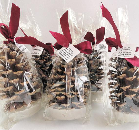 Office Christmas Party Favor Ideas
 25 Pine Cone Fire Starter Christmas Party Favors Holiday