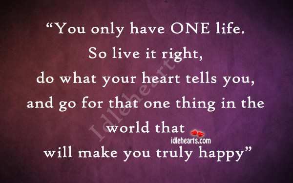 One Life Quotes
 You ly Live e Life Quotes QuotesGram