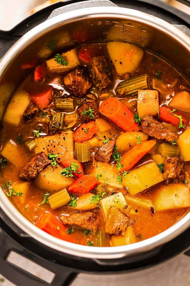 One Pot Instant Pot Recipes
 Instant Pot Beef Stew e Pot Pressure Cooker VIDEO