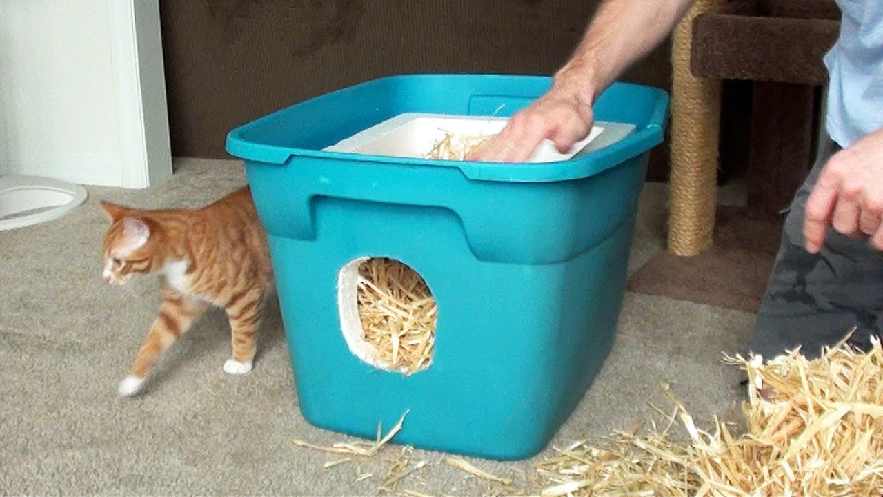 Outdoor Cat House DIY
 How to Make a Feral Cat Shelter