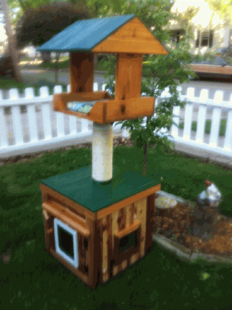Outdoor Cat House DIY
 DIY Wooden Outdoor Cat Furniture House molly and friends