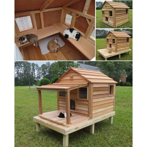 Outdoor Cat House DIY
 Cool Cedar Cat Cottage CatsPlay Superstore