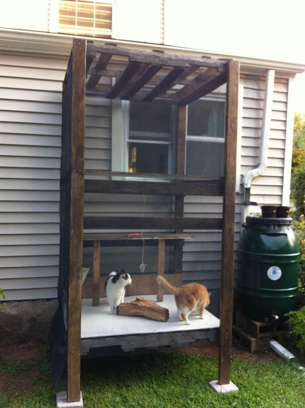 Outdoor Cat House DIY
 I’ve Finally Be e a Cat Lady