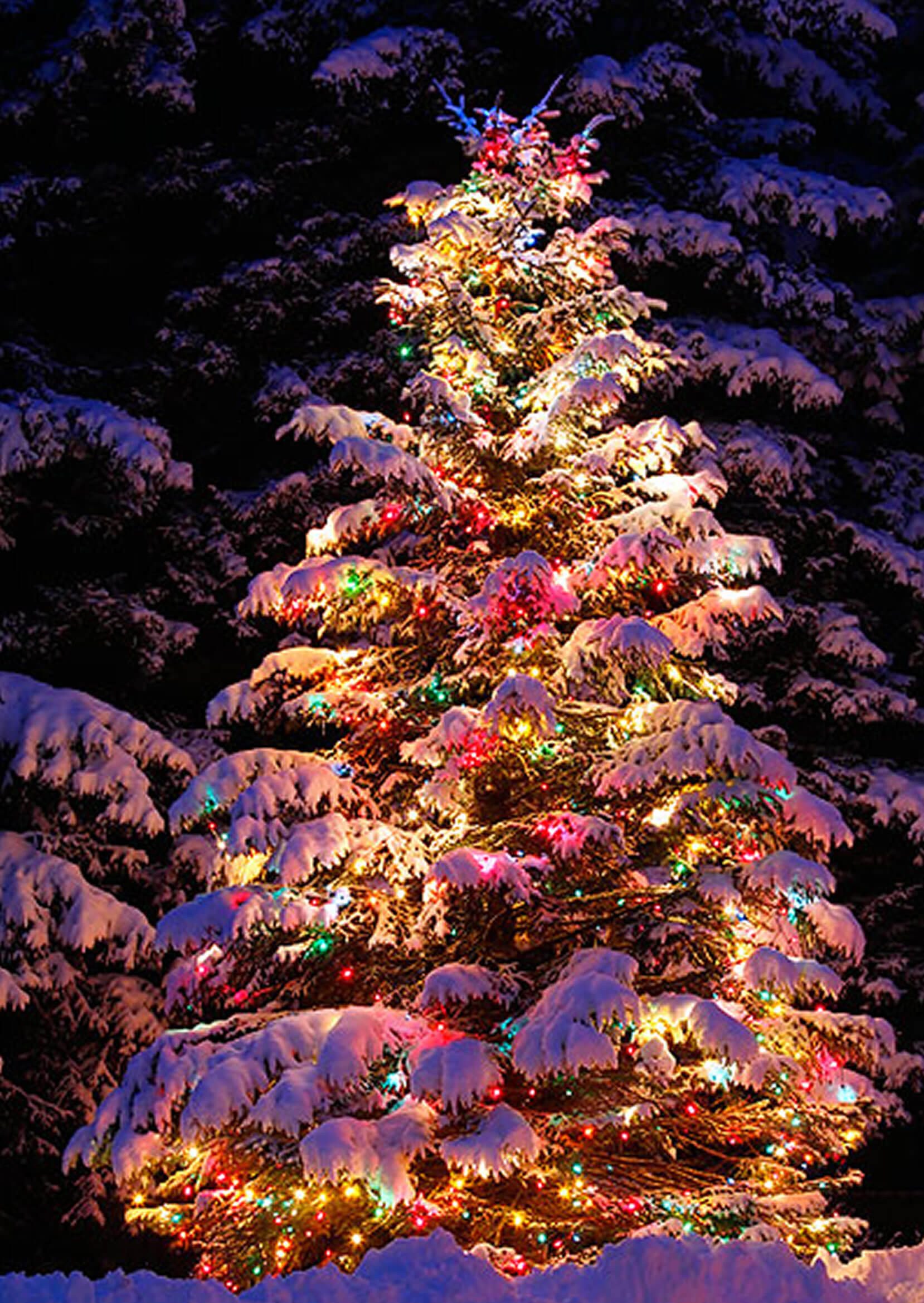 Outdoor Christmas Tree Ornaments
 22 Best Outdoor Christmas Tree Decorations and Designs for