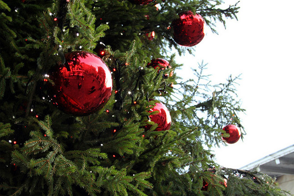 Outdoor Christmas Tree Ornaments
 25 Awesome Christmas Ornaments For Outdoor Decorations