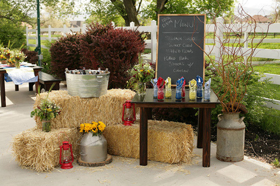 Outdoor Engagement Party Decoration Ideas
 DIY BBQ Engagement Party