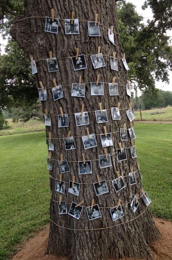 Outdoor Graduation Party Game Ideas
 How to Plan a Family Reunion Family