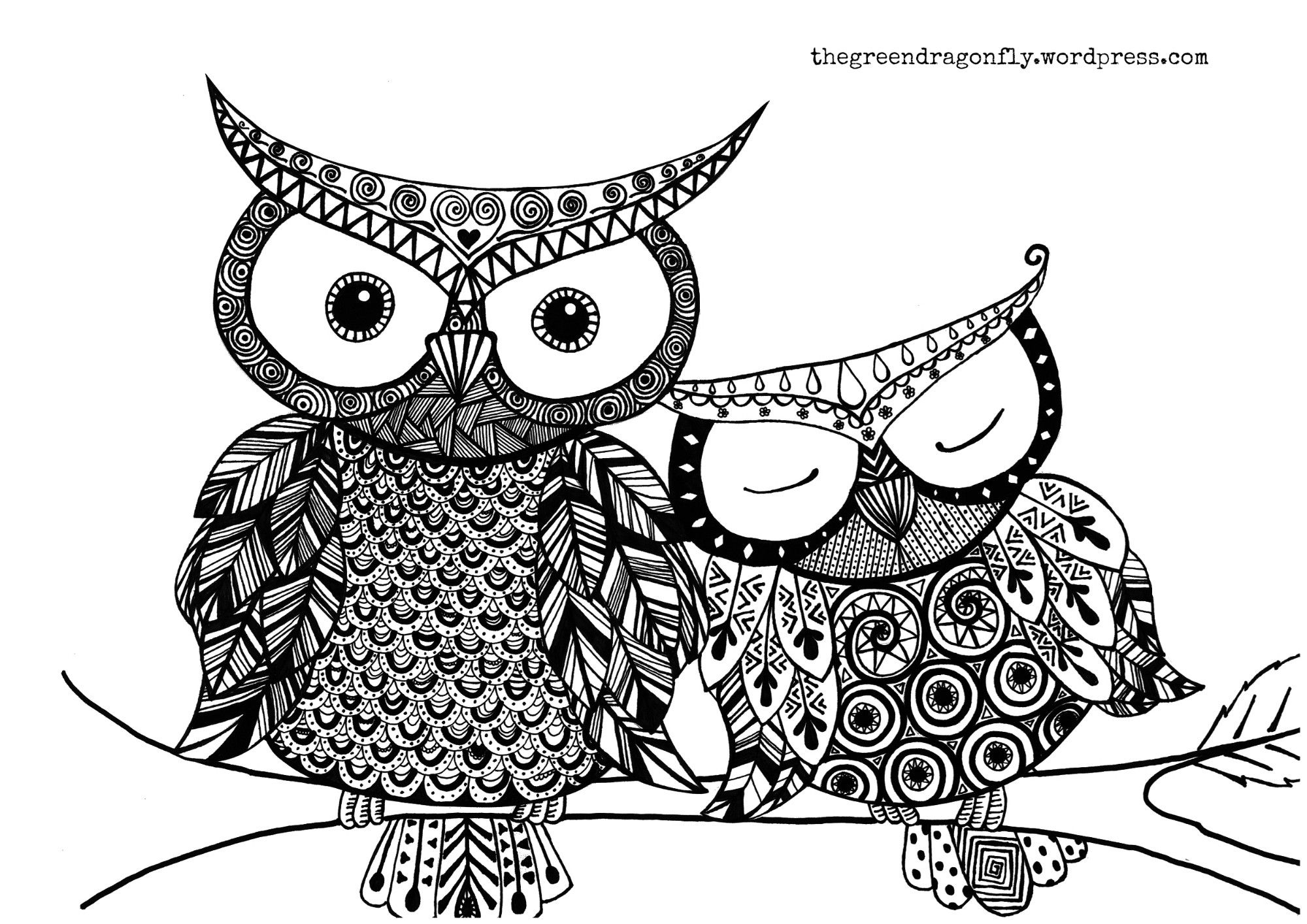 Owl Adult Coloring Pages
 Owl coloring page – The Green Dragonfly