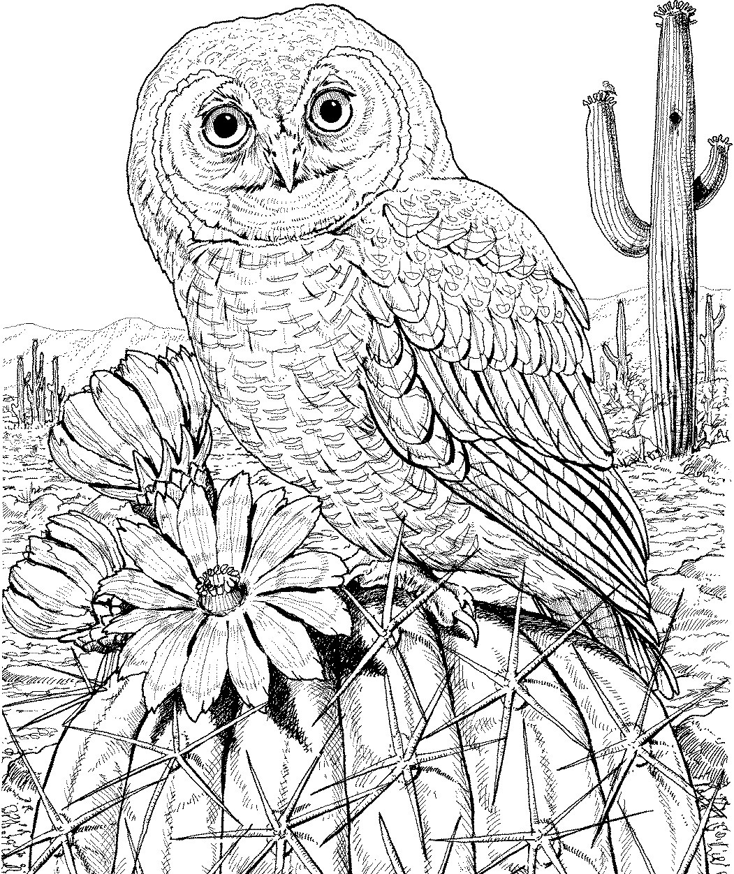 Owl Adult Coloring Pages
 10 Difficult Owl Coloring Page For Adults