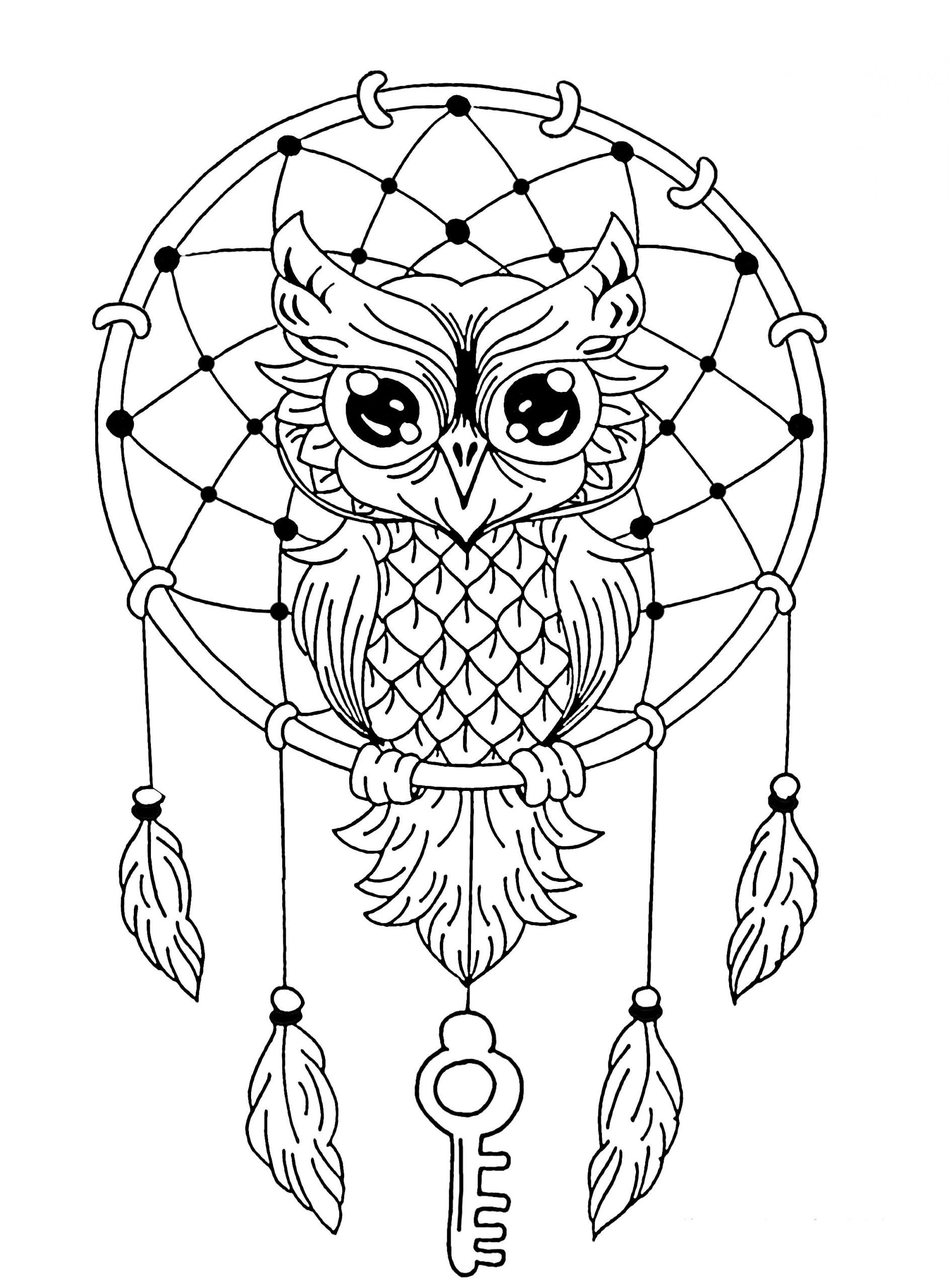 Owl Adult Coloring Pages
 Owl dreamcatcher Owls Adult Coloring Pages