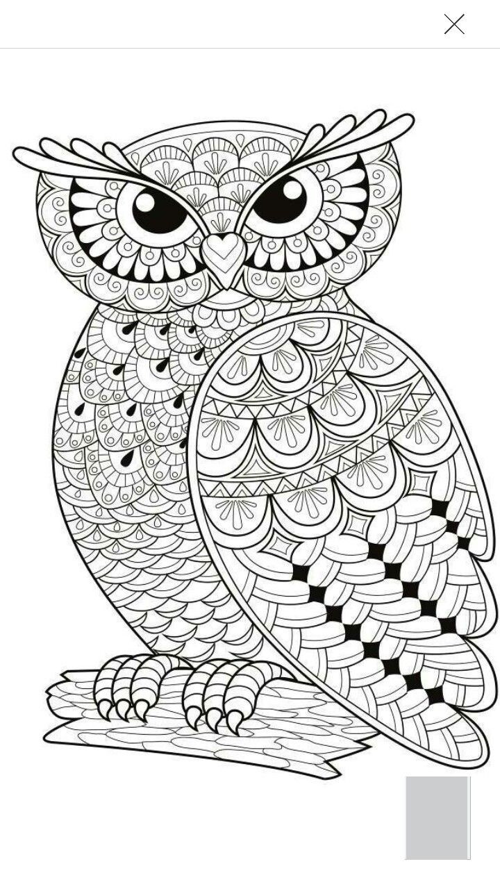 Owl Adult Coloring Pages
 De 25 bästa idéerna om Owl coloring pages – bara på