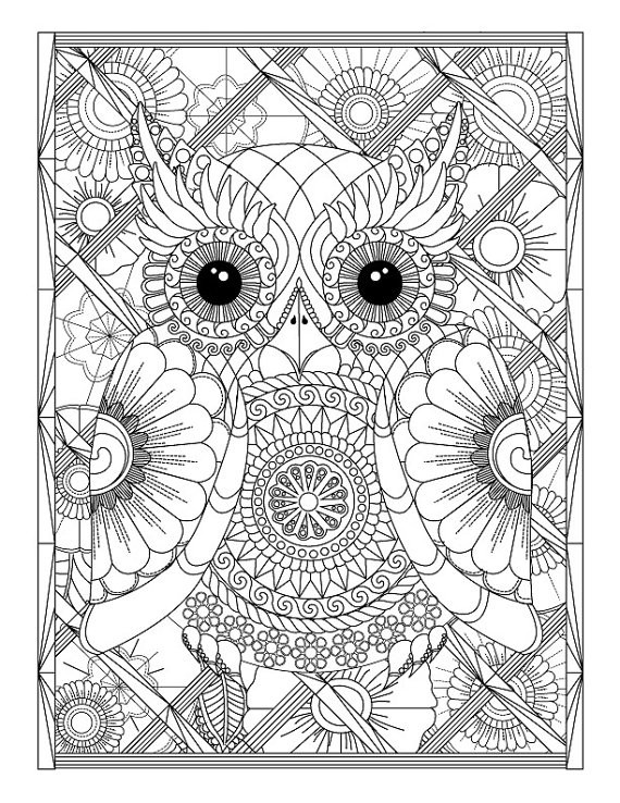 Owl Adult Coloring Pages
 Owl and Flowers Advanced Coloring Page for Adults Printable