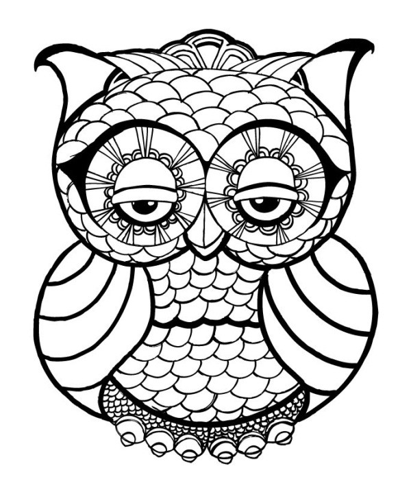 Owl Adult Coloring Pages
 OWL Coloring Pages for Adults Free Detailed Owl Coloring