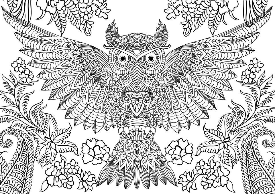 Owl Adult Coloring Pages
 10 Difficult Owl Coloring Page For Adults