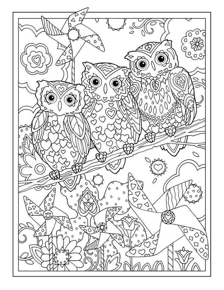 Owl Adult Coloring Pages
 680 best Coloring owls images on Pinterest