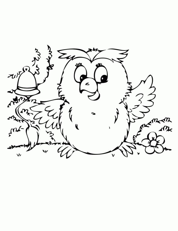 Owl Coloring Pages For Girls
 73 best images about owl coloring pages on Pinterest