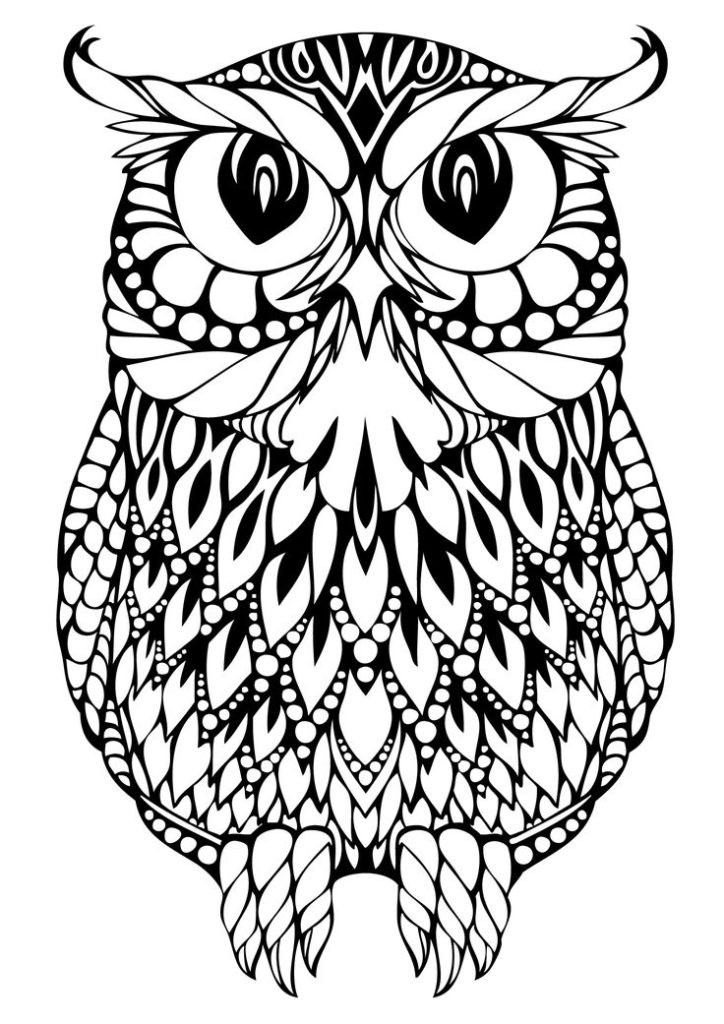 Owl Coloring Pages For Girls
 Owl Drawing Ideas at GetDrawings