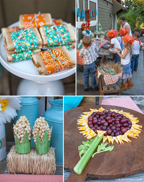 Party Food Themes Ideas
 DIY Kid s Farm Party Food & Drinks