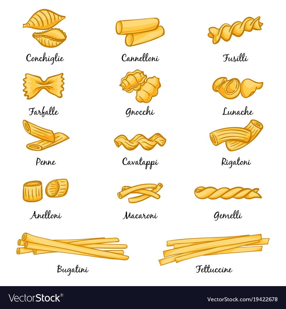 Pasta Noodles Types
 Different types of pasta traditional italian food Vector Image