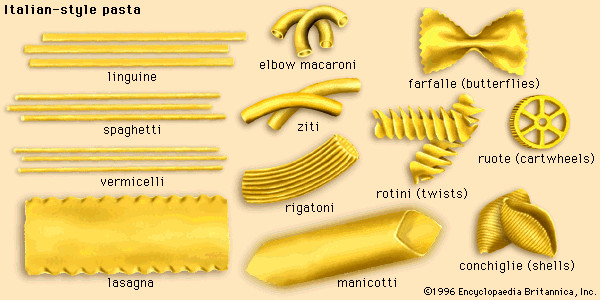 Pasta Noodles Types
 Fresh Pasta & The Types of Pasta You Need To Know