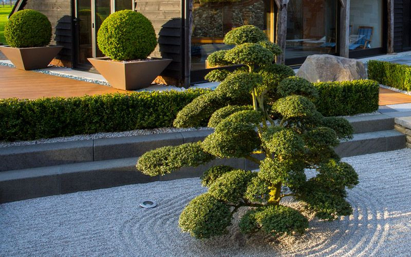 Patio And Landscaping
 Hedging designs