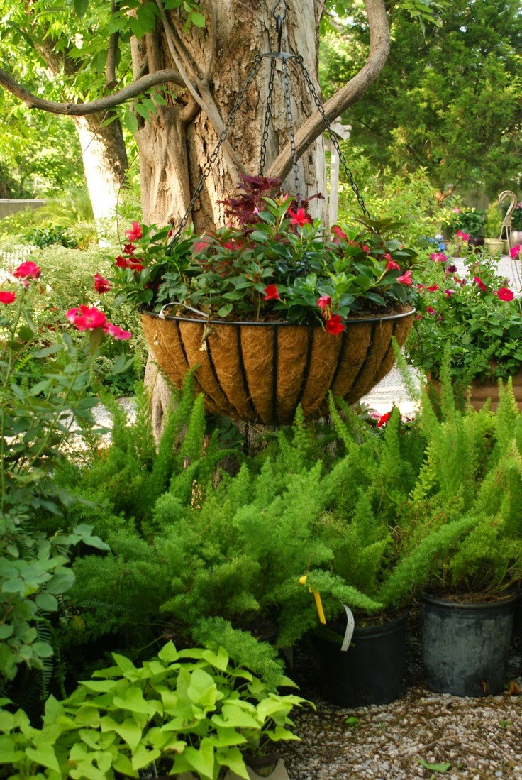 Patio And Landscaping
 Container Gardens