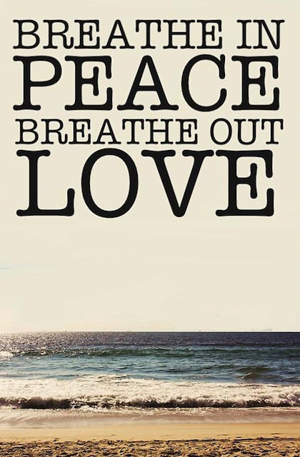 Peace And Love Quotes
 Peace And Love Animals Quotes QuotesGram