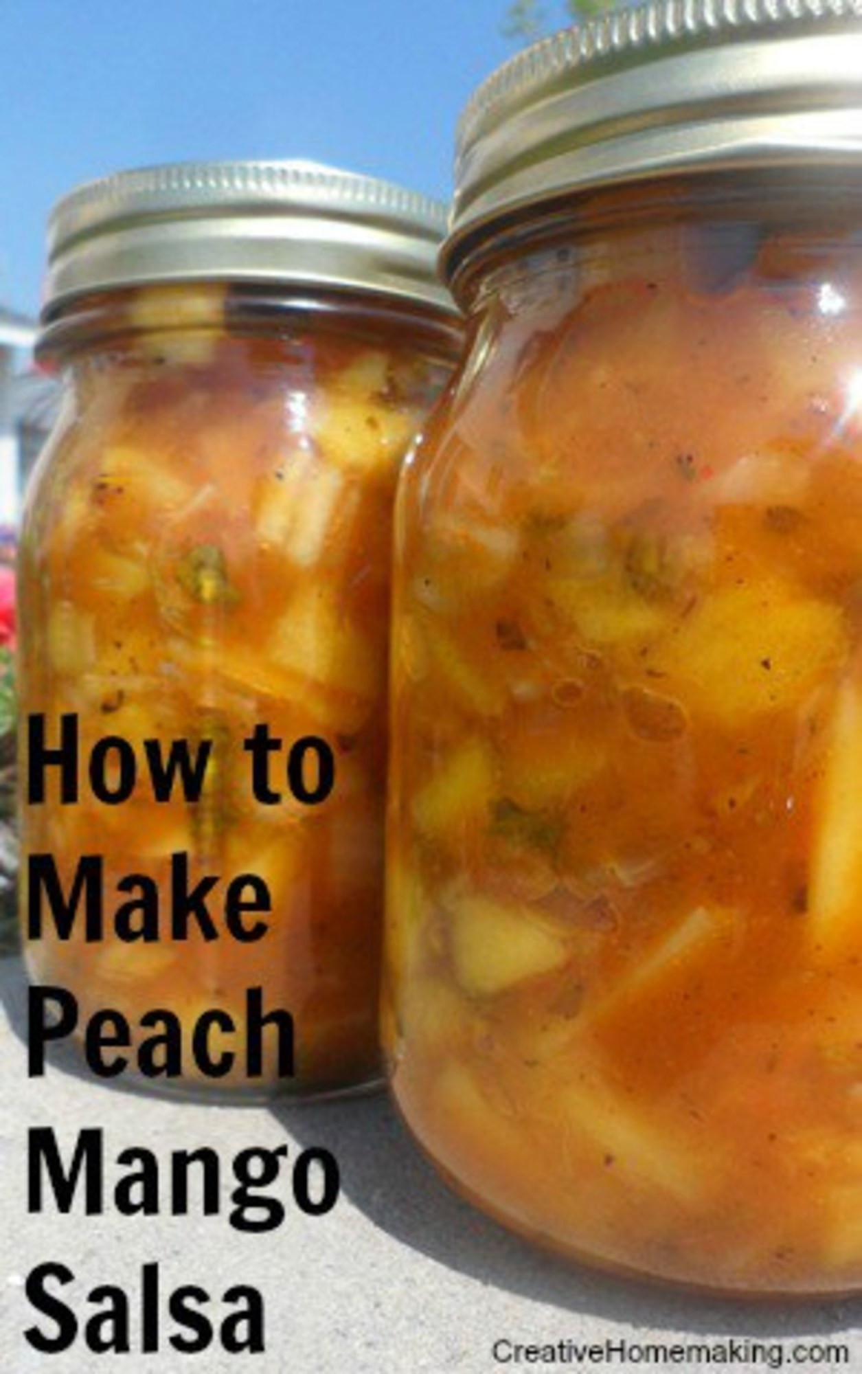 Peach Salsa Recipe For Canning
 Peach Mango Salsa My Recipe Magic