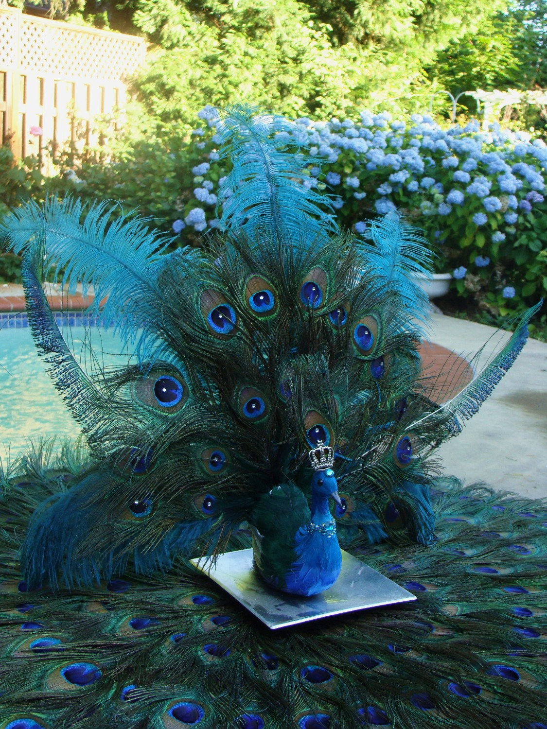 Peacock Decorations For Wedding
 His Royal Majesty peacock wedding decoration in your choice of