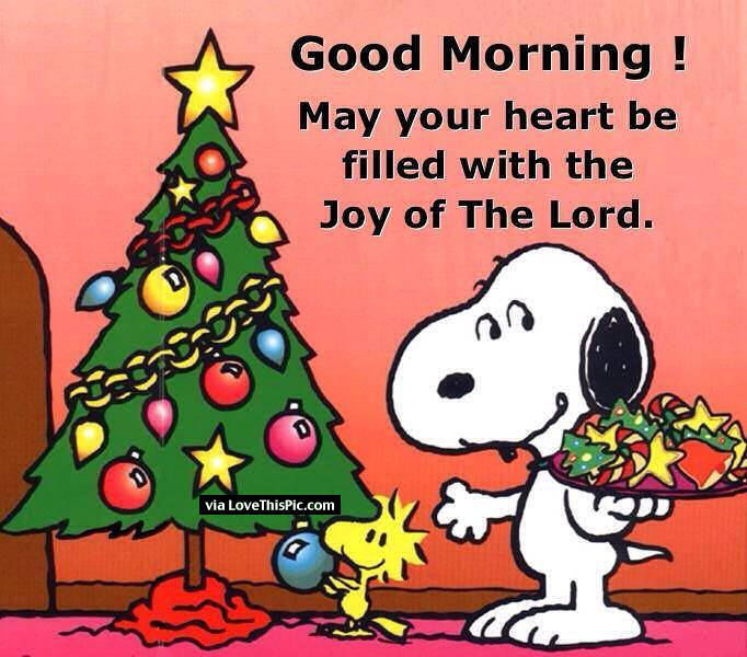 Peanuts Christmas Quotes
 Religious Christmas Snoopy Good Morning Quote