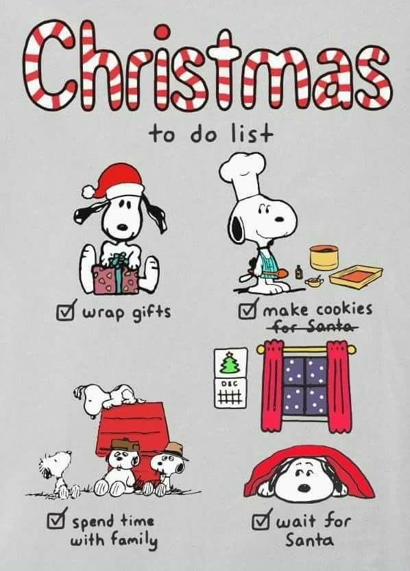 Peanuts Christmas Quotes
 Christmas to do list snoopy and the gang