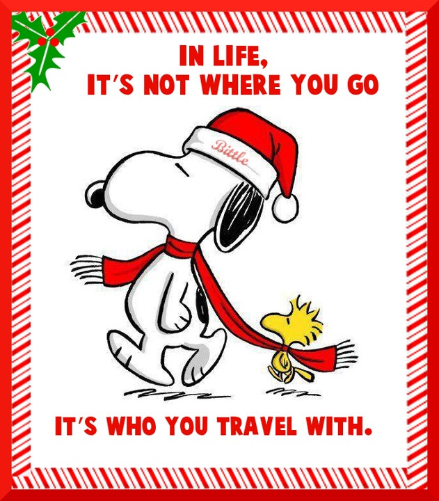 Peanuts Christmas Quotes
 19 best Snoopy images on Pinterest