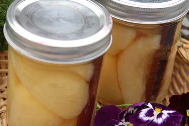 Pear Recipes For Canning
 Cinnamon Pears In Apple Juice Canning Recipe Food