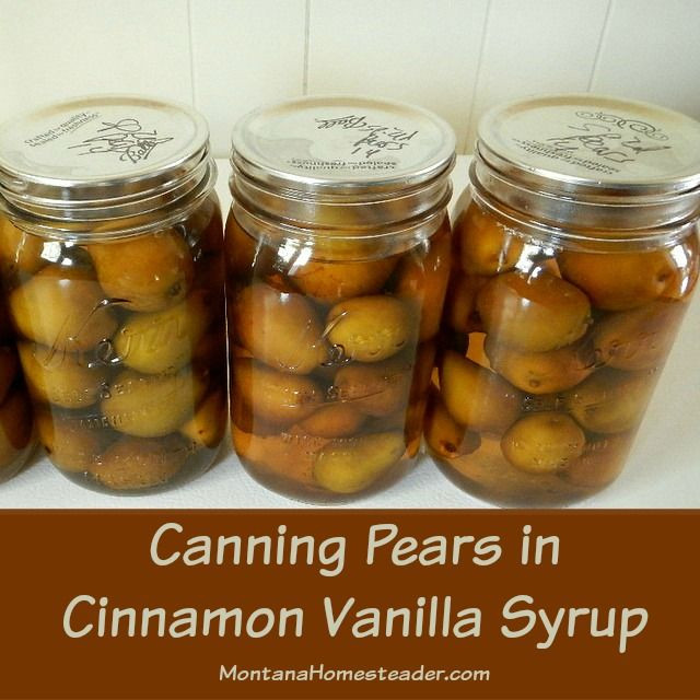 Pear Recipes For Canning
 Canning Pears in Vanilla Cinnamon Syrup Recipe