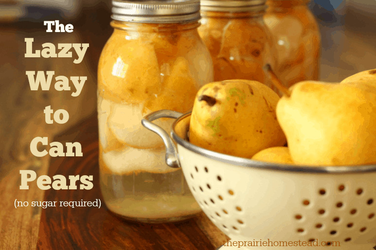 Pear Recipes For Canning
 How to Can Pears without Sugar