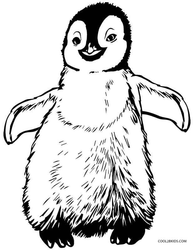 Penguin Coloring Pages For Kids
 Printable Penguin Coloring Pages For Kids